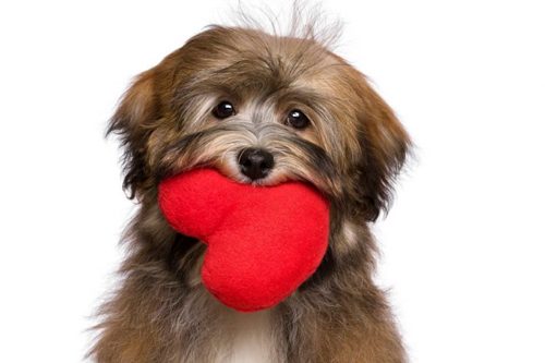 Blog-5